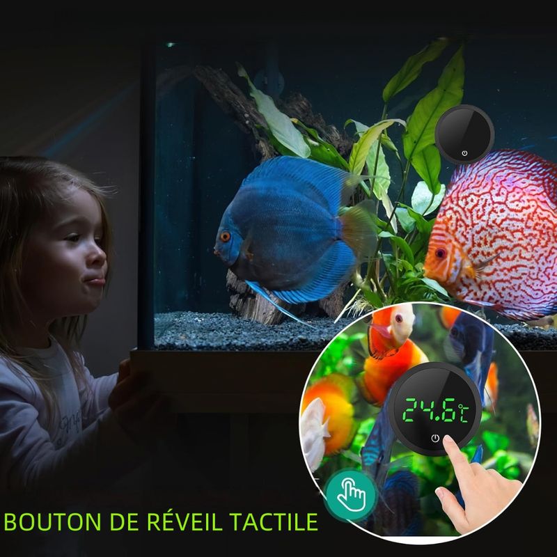 Zoomtopia Thermomètre numérique pour aquarium