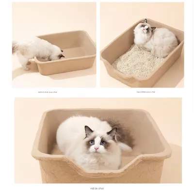 FurryFusion Bac à litière jetable pour chat