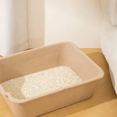 FurryFusion Bac à litière jetable pour chat