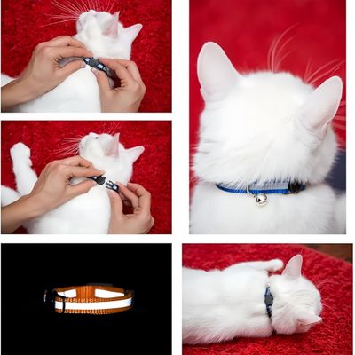 FurryFusion Lot de 6 Colliers pour chat réfléchissants
