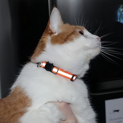 FurryFusion Set mit 6 reflektierenden Katzenhalsbändern