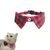 Zoomtopia Collier pour chat