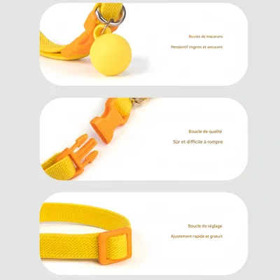 FurryFusion Colliers pour chats et chiens