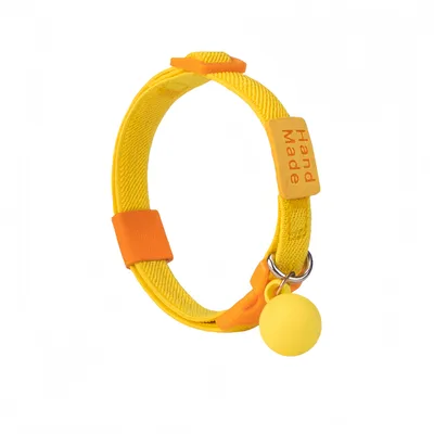 FurryFusion Colliers pour chats et chiens