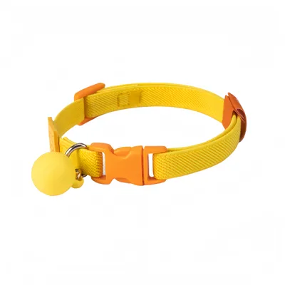 FurryFusion Colliers pour chats et chiens