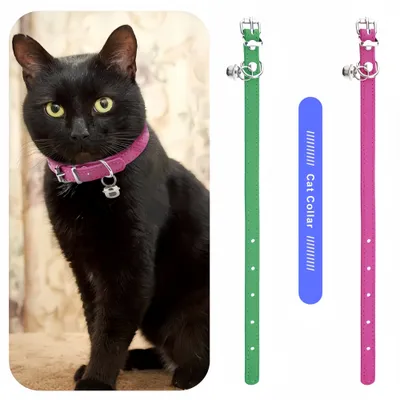 FurryFusion Lot de 2 Collier de chat avec cloche en cuir PU