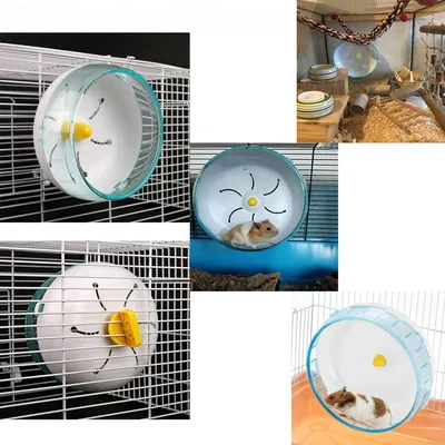 Zoomtopia Roue d'exercice pour petits animaux