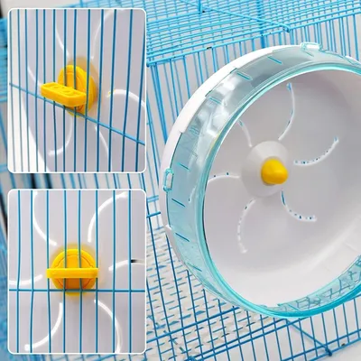 Zoomtopia Roue d'exercice pour petits animaux