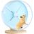 Zoomtopia Roue d'exercice pour petits animaux