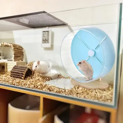 Zoomtopia Roue d'exercice pour petits animaux