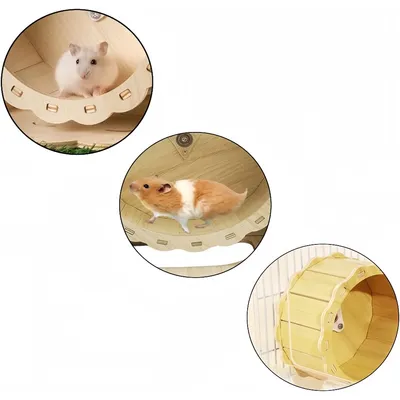 Zoomtopia Roue d'exercice pour petits animaux