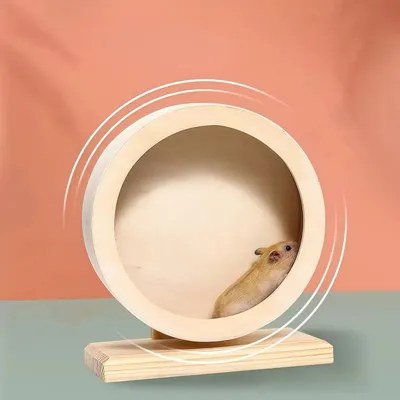 Zoomtopia Roue d'exercice pour animaux