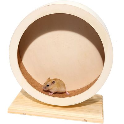 Zoomtopia Roue d'exercice pour animaux