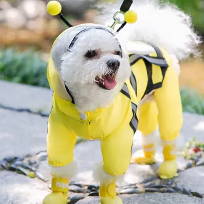 Zoomtopia Regenmantel für Hunde Zoomtopia Regenmantel für Hunde