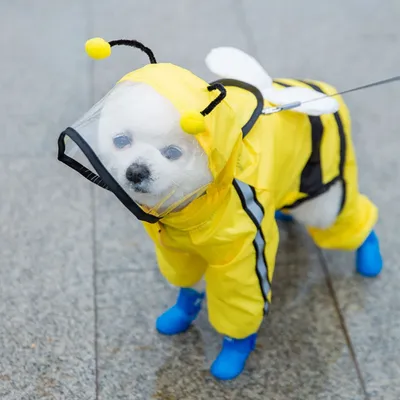 Zoomtopia Regenmantel für Hunde Zoomtopia Regenmantel für Hunde