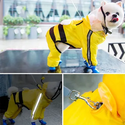 Zoomtopia Regenmantel für Hunde Zoomtopia Regenmantel für Hunde