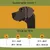 Zoomtopia Gehörschutz für Hunde Zoomtopia Gehörschutz für Hunde