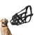 Zoomtopia Muselière pour chien