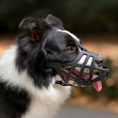 Zoomtopia Muselière pour chien