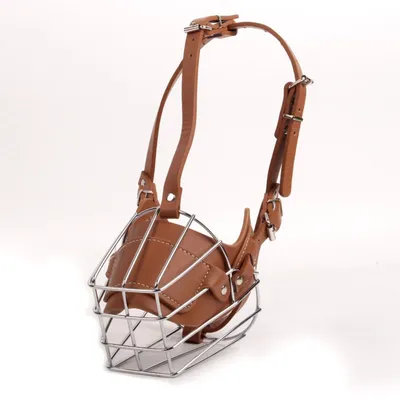 Zoomtopia Muselière pour chien en fer