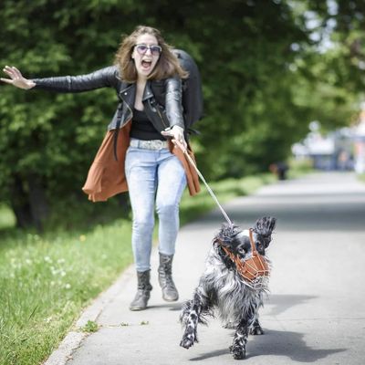 Zoomtopia Muselière pour chien en fer