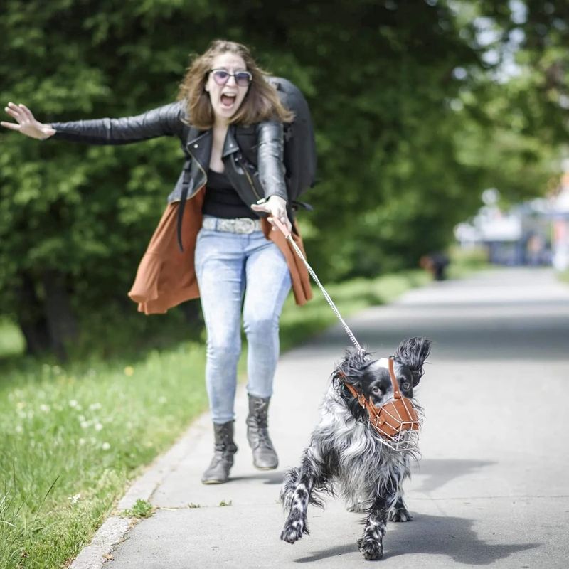 Zoomtopia Muselière pour chien en fer