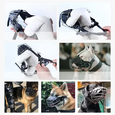 Zoomtopia Muselière pour chien en fer