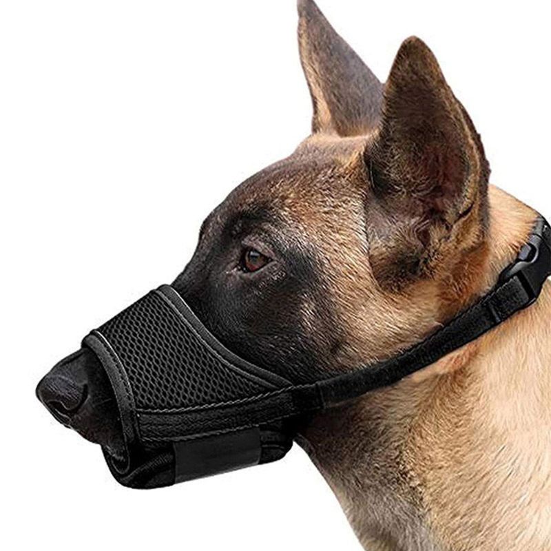 Zoomtopia Bouche de chien