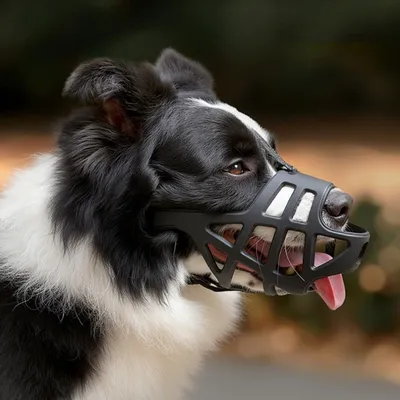 Zoomtopia Muselière pour chien