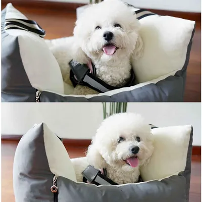 Pawzy Siège rehausseur de voiture pour chien et chat