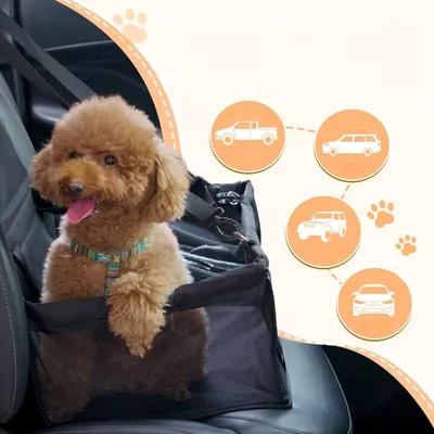 Zoomtopia Siège auto pour chien VW