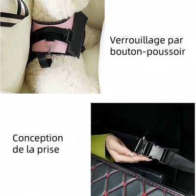 Pawzy Siège rehausseur de voiture pour chien et chat