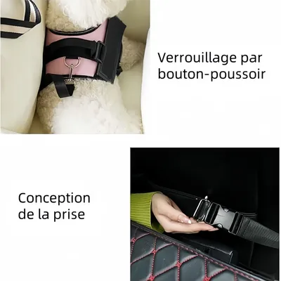 Pawzy Siège rehausseur de voiture pour chien et chat