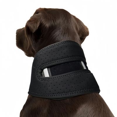 FurryFusion Collier de soutien pour la récupération du chien