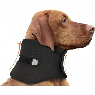 FurryFusion Collar de apoyo para la recuperación del perro