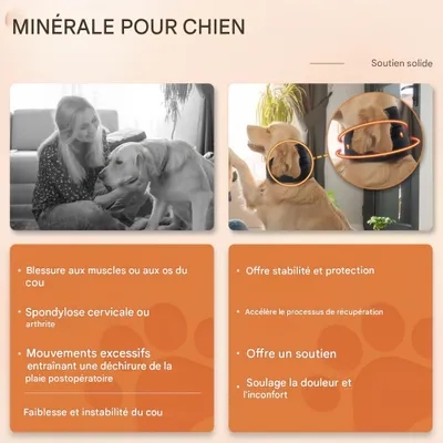 FurryFusion Collier de soutien pour la récupération du chien FurryFusion Collier de soutien pour la récupération du chien
