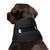 FurryFusion Collier de soutien pour la récupération du chien FurryFusion Collier de soutien pour la récupération du chien