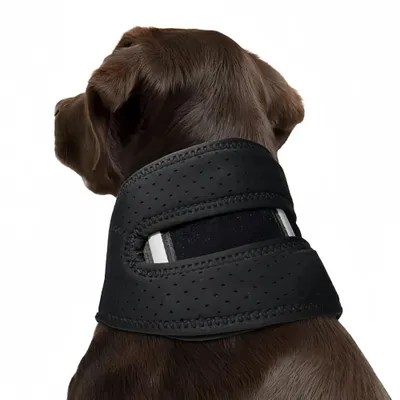 FurryFusion Collier de soutien pour la récupération du chien FurryFusion Collier de soutien pour la récupération du chien