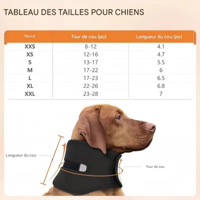 FurryFusion Collier de soutien pour la récupération du chien FurryFusion Collier de soutien pour la récupération du chien