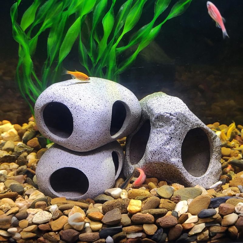 Zoomtopia Pierre d'Ermitage pour aquarium
