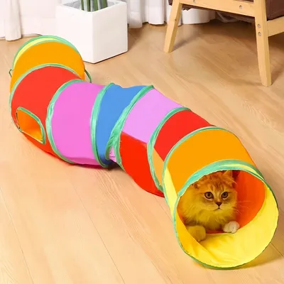 Zoomtopia Tunnel Arc-en-Dégradé pour chat