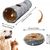 Zoomtopia Tunnel de chat auto  lumineux