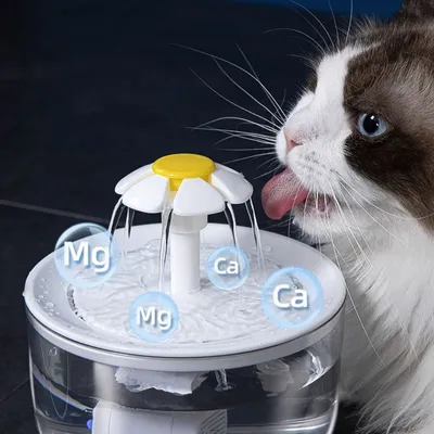 Zoomtopia Fontaine à eau pour chat