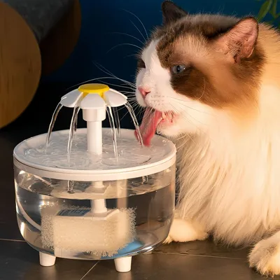 Zoomtopia Fontaine à eau pour chat