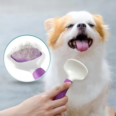 Pawzy Brosse de toilettage pour chien et chat