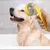 Pawzy Brosse de bain pour animaux