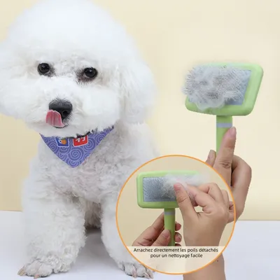 Zoomtopia Brosse à poils pour chien