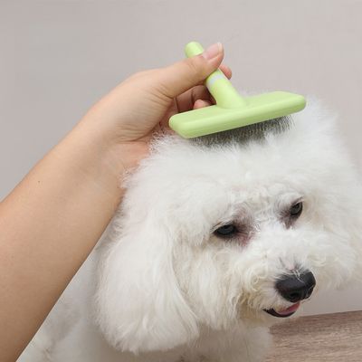 Zoomtopia Brosse à poils pour chien