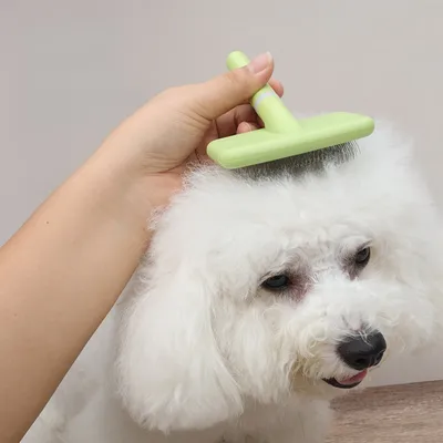 Zoomtopia Brosse à poils pour chien