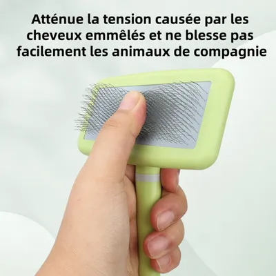 Zoomtopia Brosse à poils pour chien